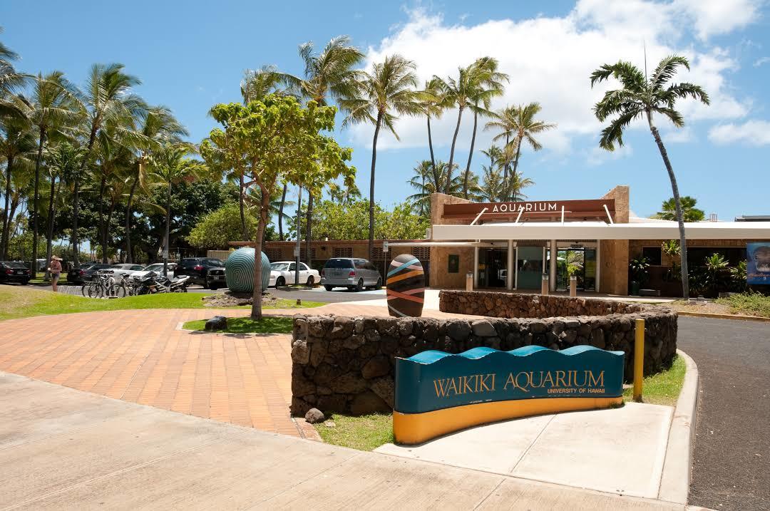 Waikiki Aquarium