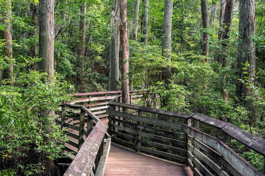 First Landing State Park