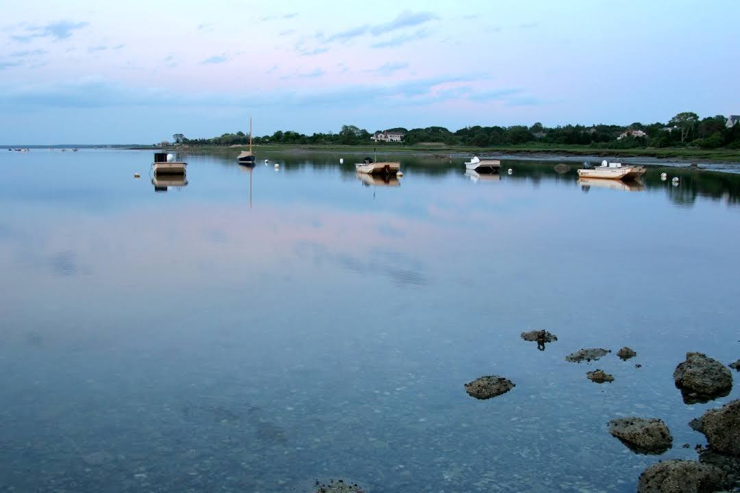 Nickerson State Park
