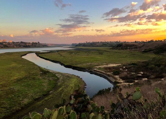 Upper Newport Bay Nature Preserve