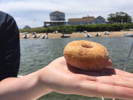 Payne's Donuts