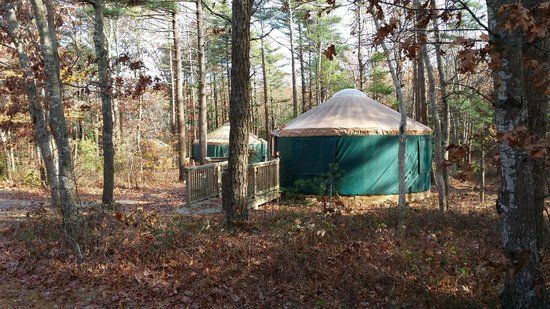 Shawme-Crowell State Forest