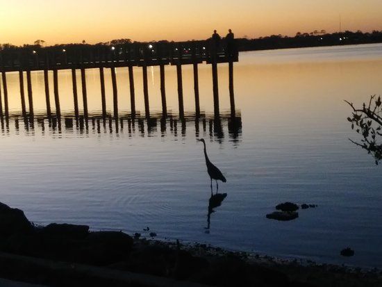 Port Orange Causeway Park