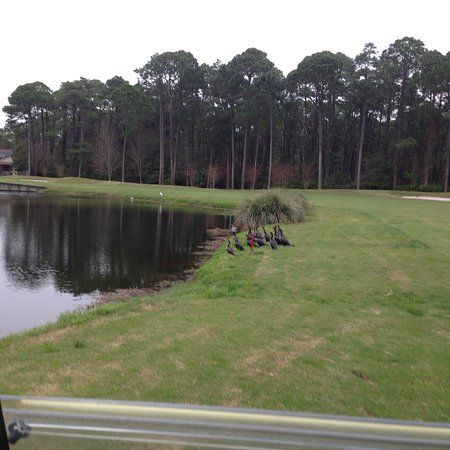 Bear Creek Golf Club