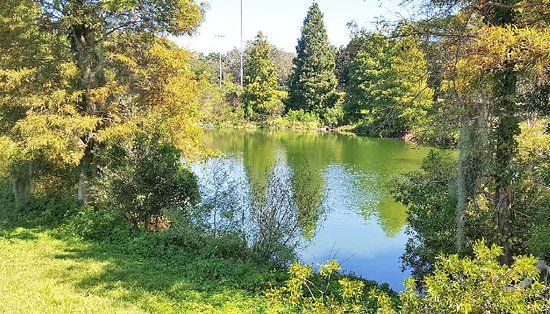 Glen Oaks Park