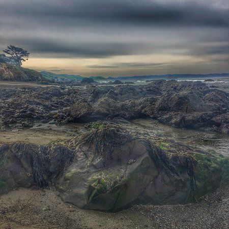 Cayucos State Beach