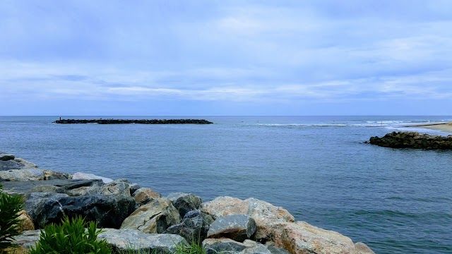 Grommet Island Park
