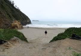 Trinidad State Beach