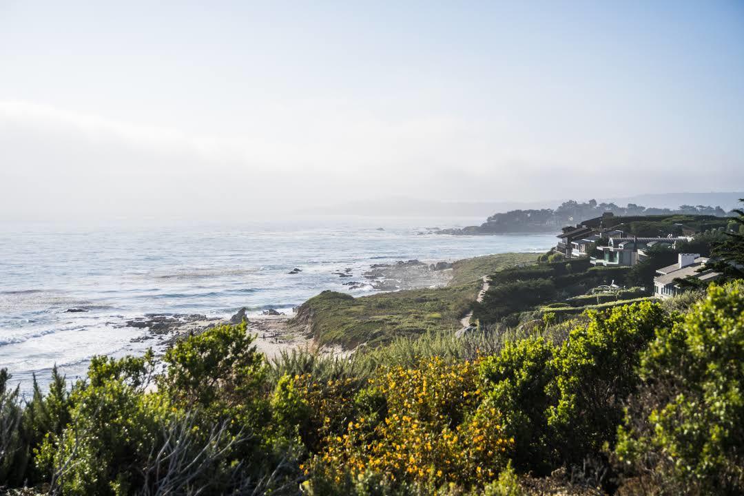 Carmel River State Beach