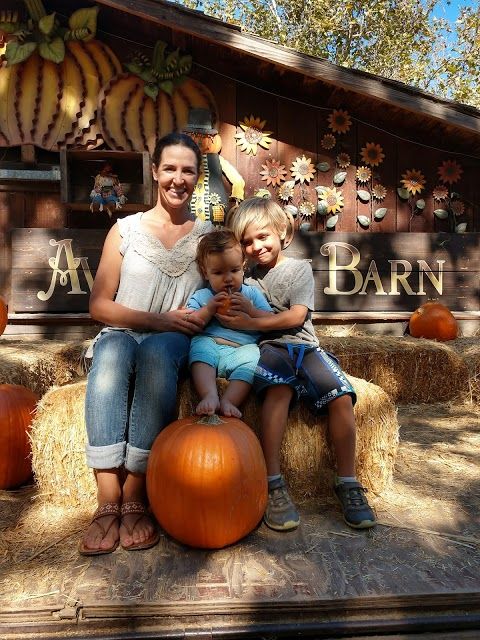 Avila Valley Barn