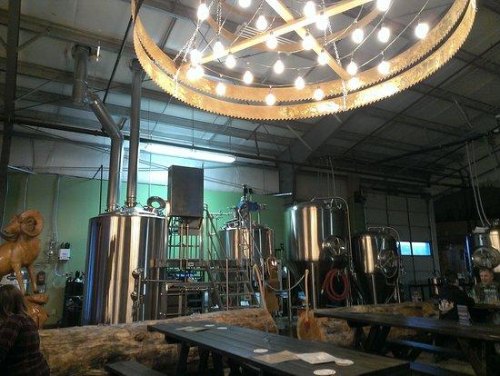 Half Lion Brewing Co