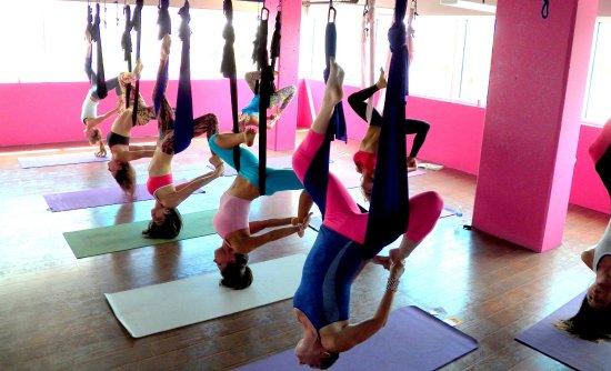 The Yoga Hangout SRQ