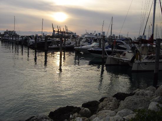 Miami Beach Marina