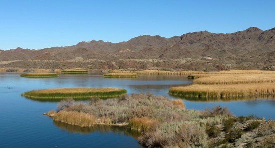 Bill Williams River National Wildlife Refuge