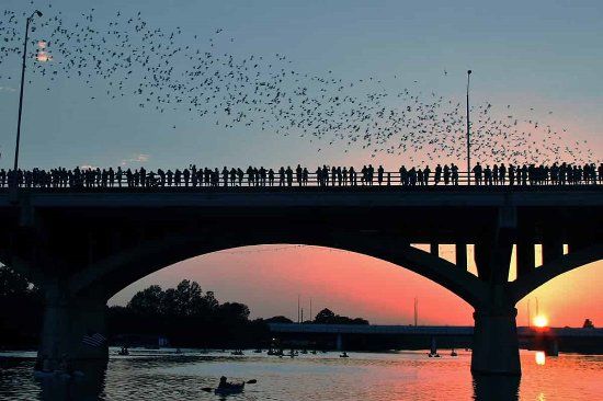 Congress Avenue Bridge