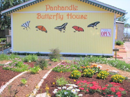Panhandle Butterfly House