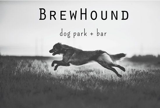 BrewHound
