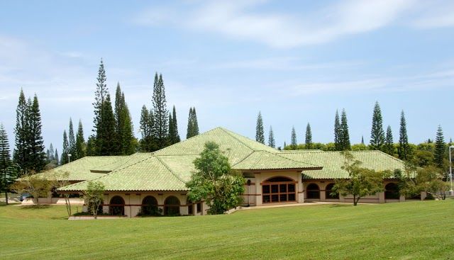 Princeville Public Library