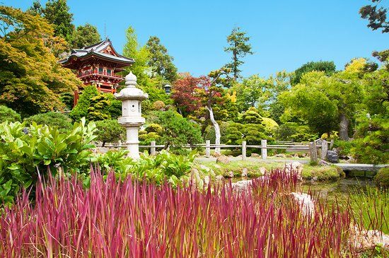 Golden Gate Park