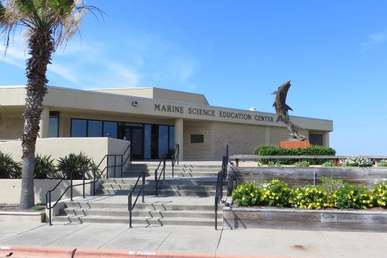 The University of Texas Marine Science Institute