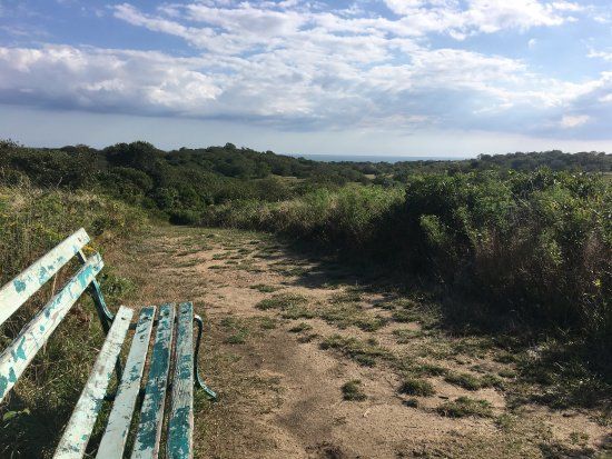 Rodman's Hollow