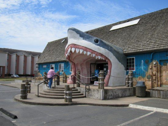 Sharky's