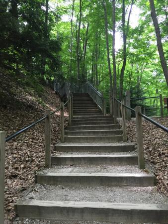 Rosy Mound Natural Area
