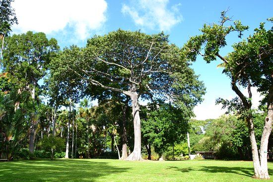 Foster Botanical Garden