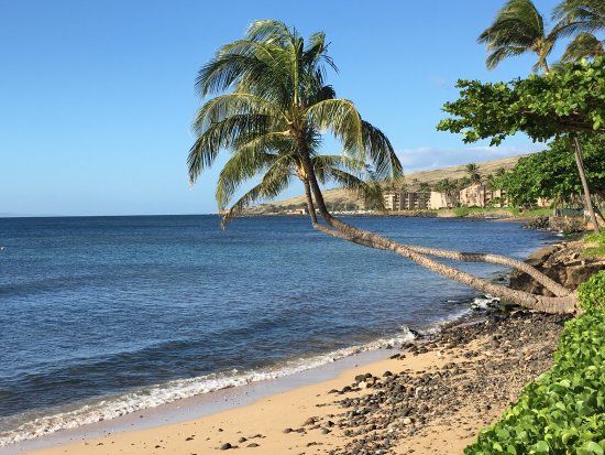 Maalaea