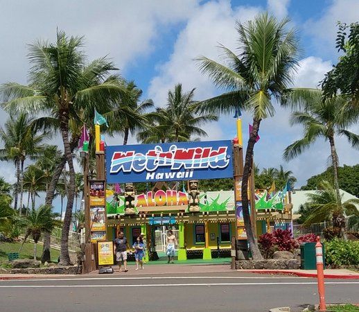 Wet'n'Wild Hawaii