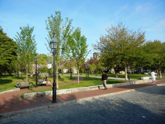 Queen Anne Square
