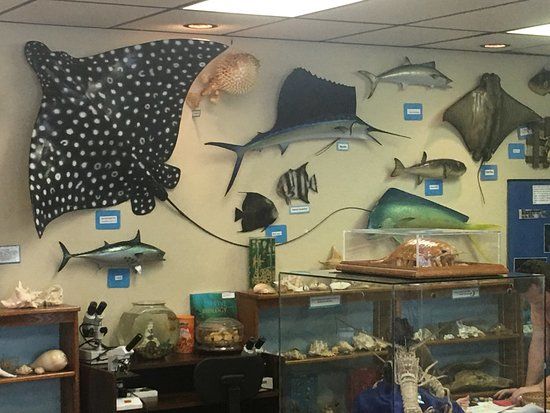 Ostego Bay Foundation Marine Science Center