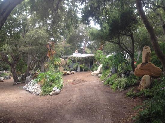 Gravity Garden