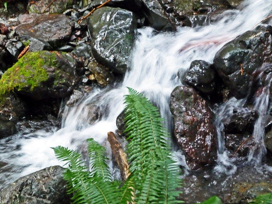 Barnes Creek