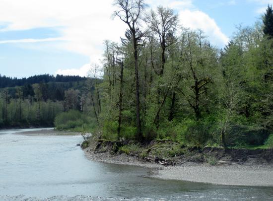 Quillayute River