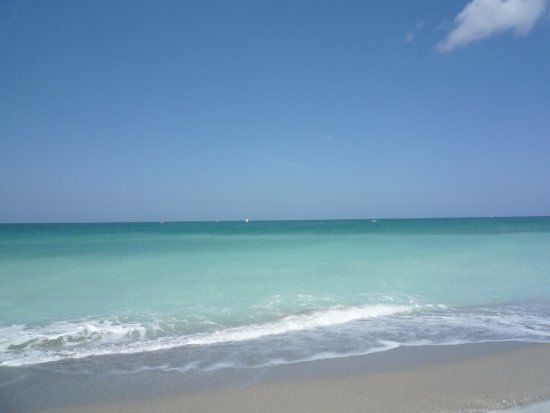 Barefoot Beach Preserve