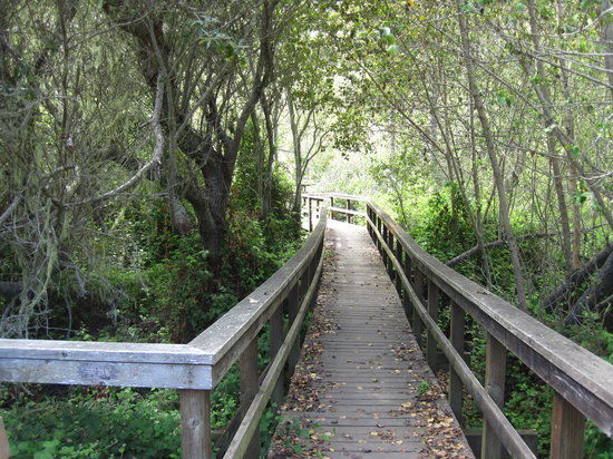 San Simeon State Park