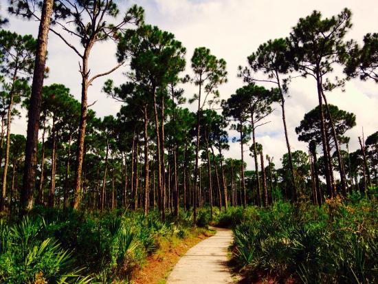 Limestone Creek Natural Area