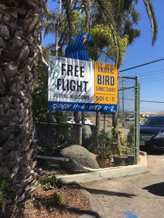 Free Flight Exotic Bird Sanctuary