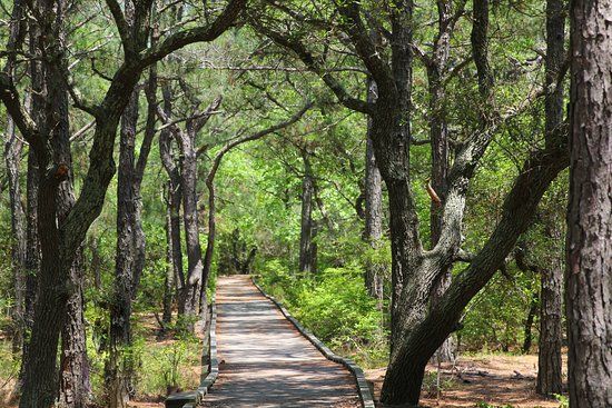 Currituck Banks North Carolina National Estuarine Research Reserve