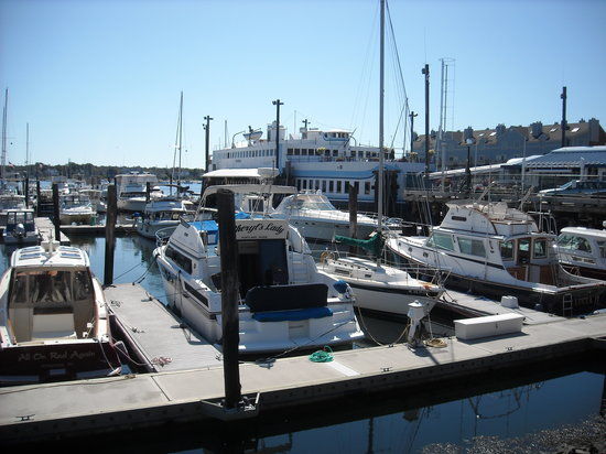 Old Port