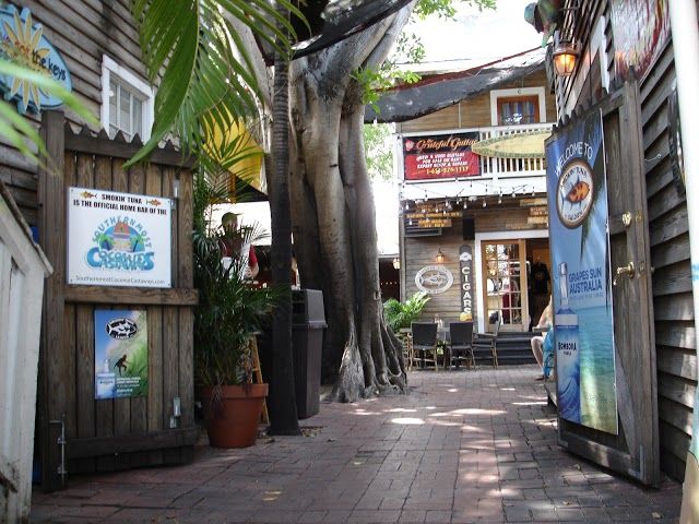 Smokin' Tuna Saloon